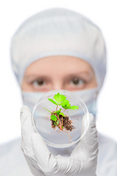 Similar image 12692721