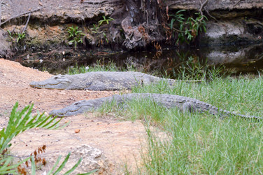 Similar image 12689605