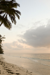 Similar image 12978074