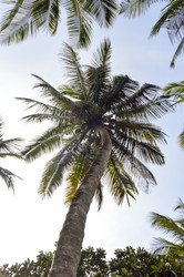 Similar image 12978098