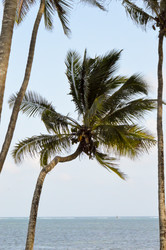 Similar image 12978099