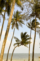 Similar image 12978100