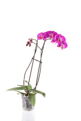 Similar image 12982790