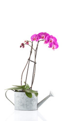 Similar image 12982792