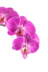 Similar image 12982811