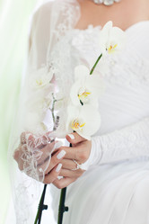 Similar image 12694477