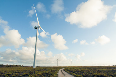 Similar image 12694531