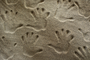 Similar image 12692583