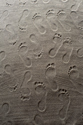 Similar image 12692781