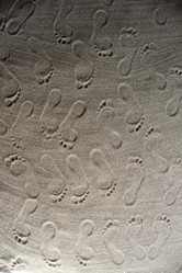 Similar image 12692782