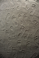 Similar image 12692784