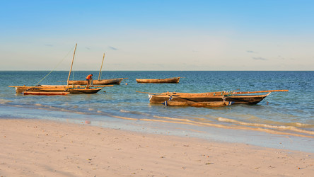 Similar image 12694532