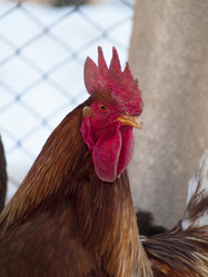 Similar image 12689650