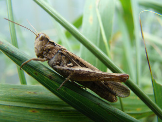 Similar image 12689557