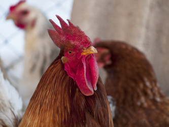 Similar image 12689560