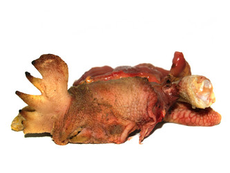 Similar image 12689565