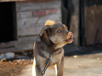 Similar image 12689578