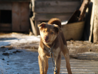 Similar image 12689581