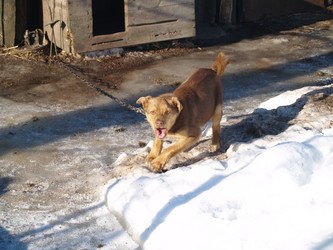 Similar image 12689584