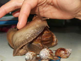 Similar image 12697672