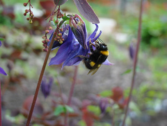 Similar image 12689567