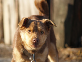 Similar image 12689569