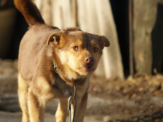 Similar image 12689570