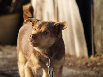 Similar image 12689571