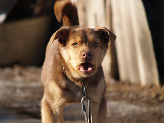 Similar image 12689572