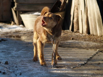 Similar image 12689573