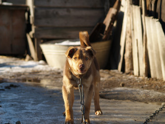 Similar image 12689585