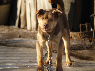 Similar image 12689586