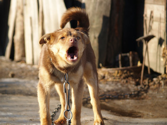 Similar image 12689587