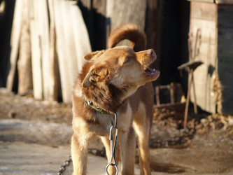 Similar image 12689588