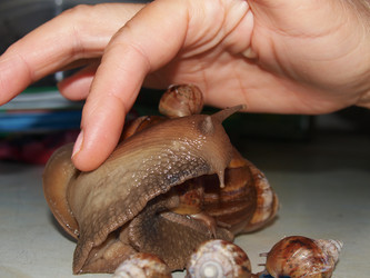 Similar image 12689590