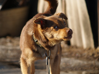 Similar image 12689608