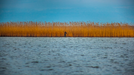 Similar image 12978022