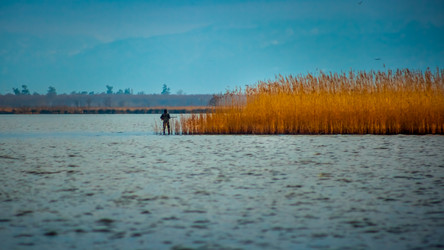 Similar image 12978024