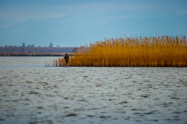 Similar image 12978025