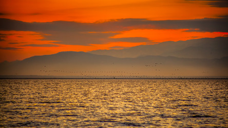 Similar image 12978325