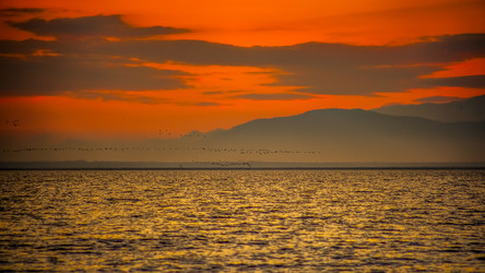 Similar image 12978326