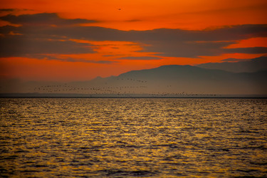 Similar image 12978329