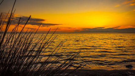 Similar image 12978335