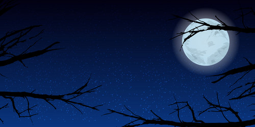 Similar image 12976911