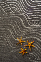 Similar image 12692606