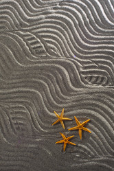 Similar image 12692623