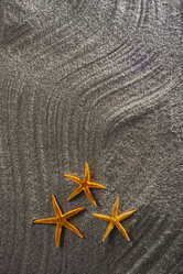 Similar image 12692742