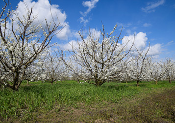 Similar image 12989726