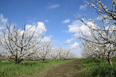 Similar image 12989957