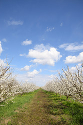 Similar image 12978910